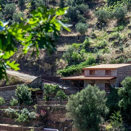Casa Da Encosta Douro Valley-3