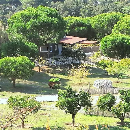 Quinta Do Meco - Beach & Nature-3
