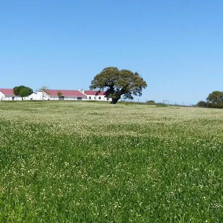 Herdade Da Carapuca- Casa De Campo-2