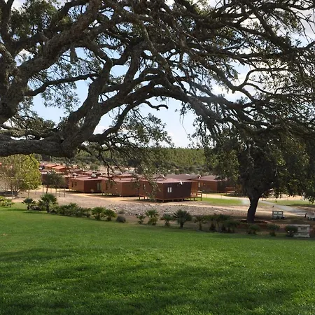 Zmar Eco Experience-3