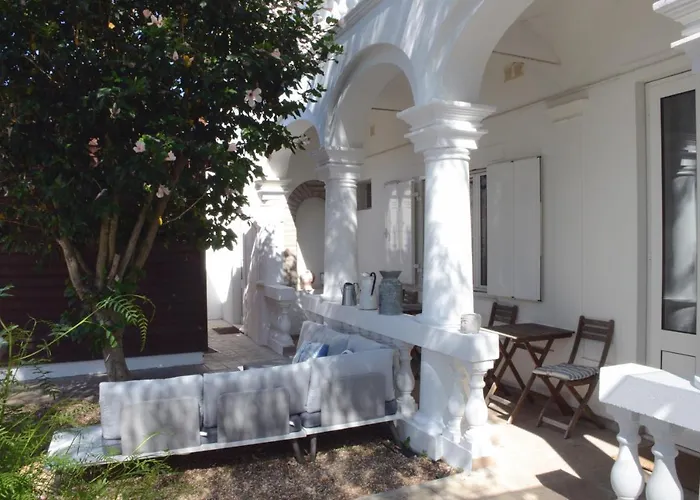 Retrato Da Memória-Casa De Campo