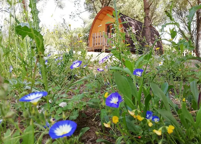 Glamping Sintra Hotel, Portugal