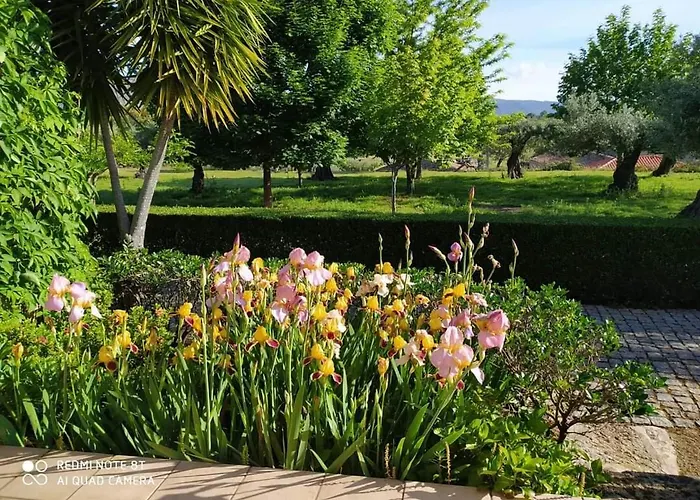 Quinta Do Ervedal- Castelo Novo