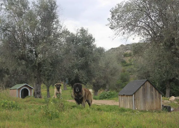 Tapada Da Serra Vila Idanha-a-Nova, Portugal