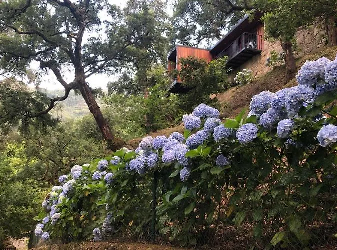 Sobreiro Valley - Casa Firmino Vieira do Minho, Portugal