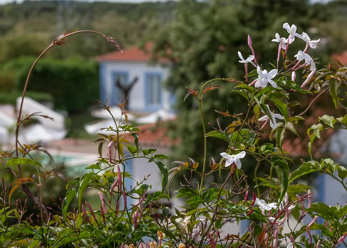 Monte Do Giestal - Casas De Campo & Spa Abela, Portugal