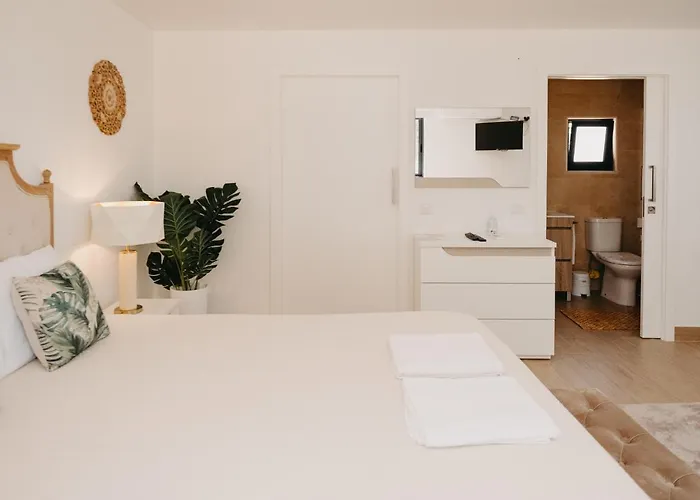Quinta Monteiro De Matos - Enoturismo Vila Santarém, Portugal