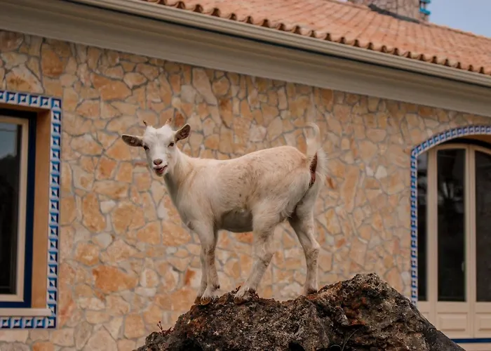 Quinta Do Bamby