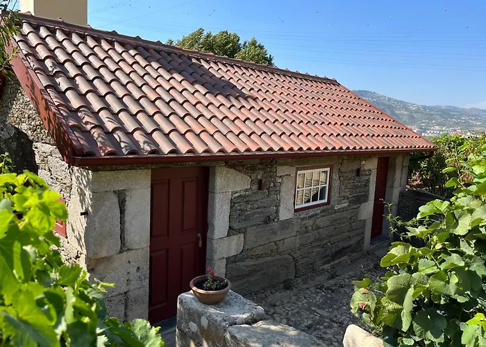 Quinta Da Casa Amarela- Casas Da Quinta - Turismo Em Espaço Rural
