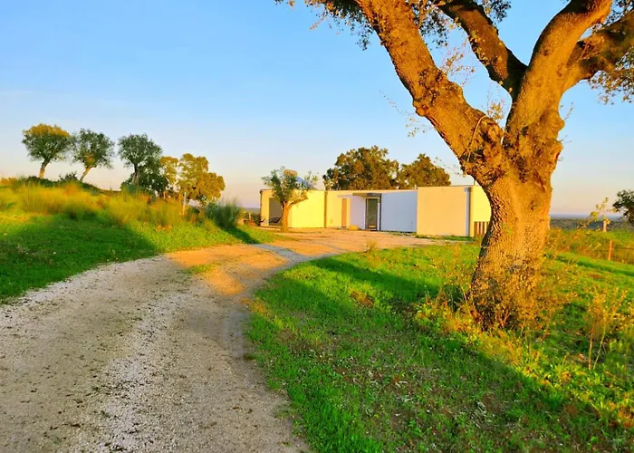 Monte Da Fifas Alentejo, Montargil Vila, Portugal