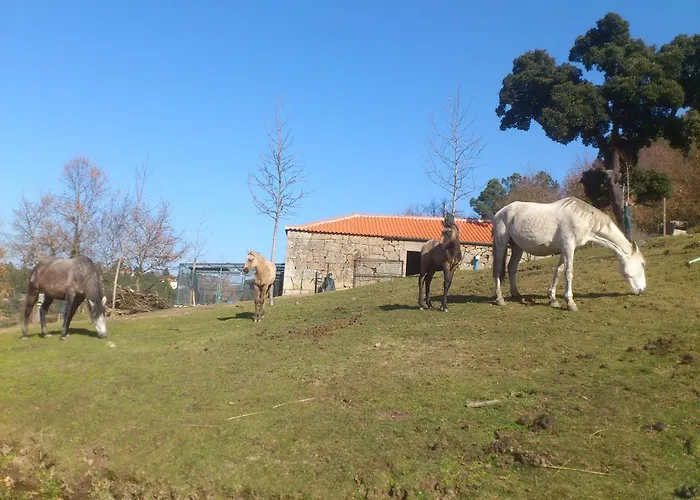 Quinta da Mata - Turismo de Habitação Chaves, Portugal