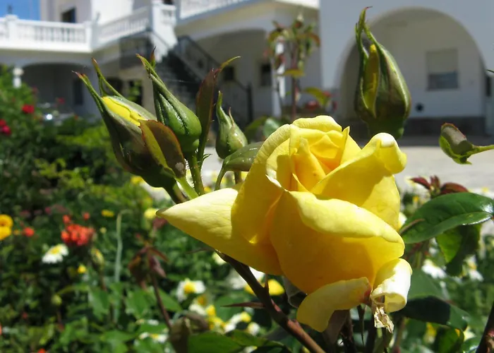 Residencia Quinta Do Poco Guesthouse