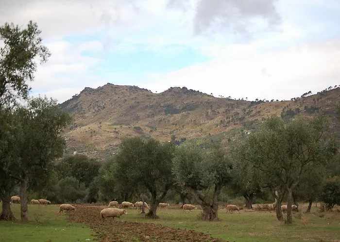 Agro-Turismo - Quinta Do Pinheiro Hotel Cavadoude, Portugal