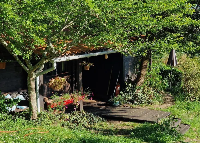O Cantinho De Coura - A Cabana