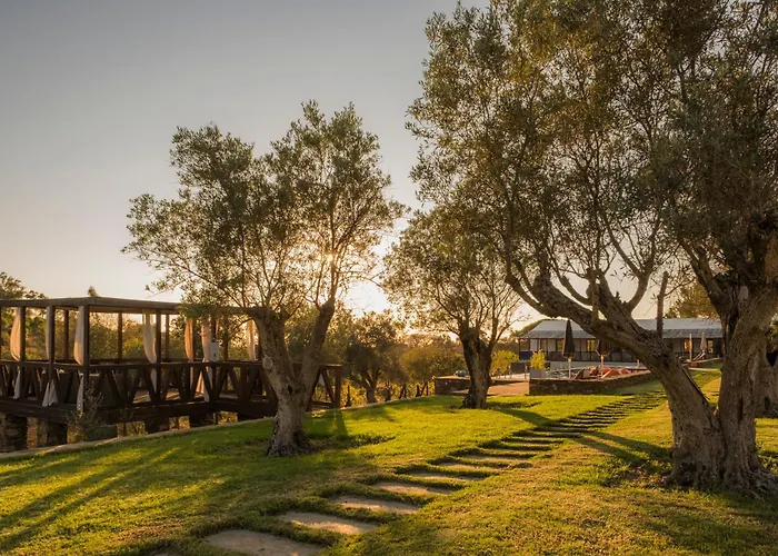 Teima, Alentejo Sw
