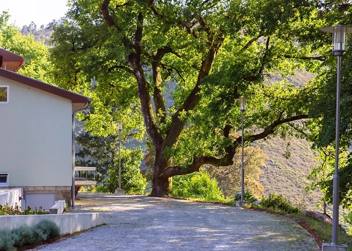 Rural Misarela