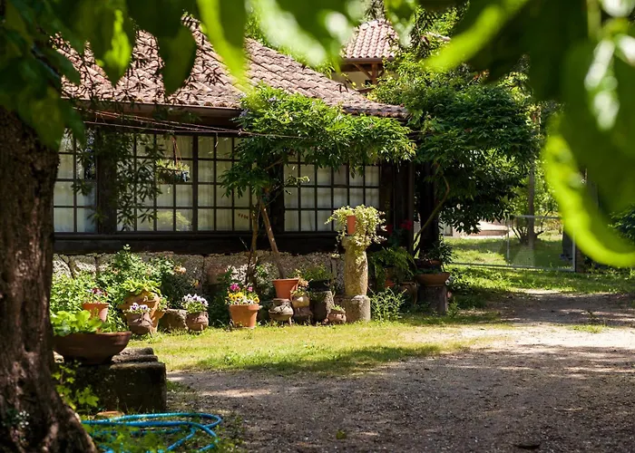 Da Quinta Lavoura Da Bouça - Fruta Bio