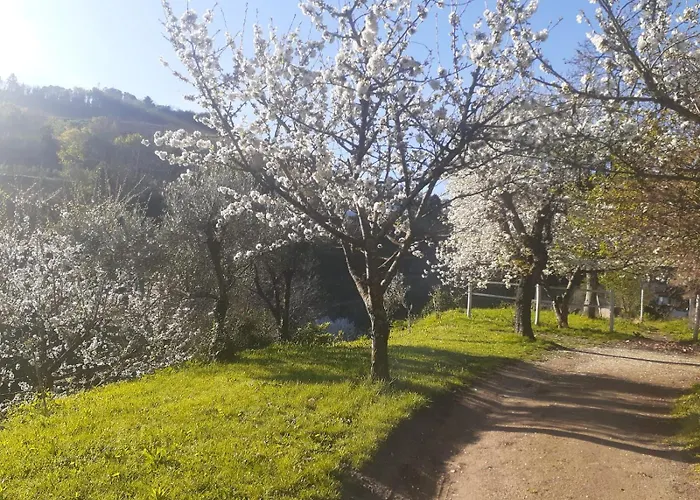 Quinta Dos Carvalhos The Wine House Farm In Center Of Lamego - Capital Of The Douro