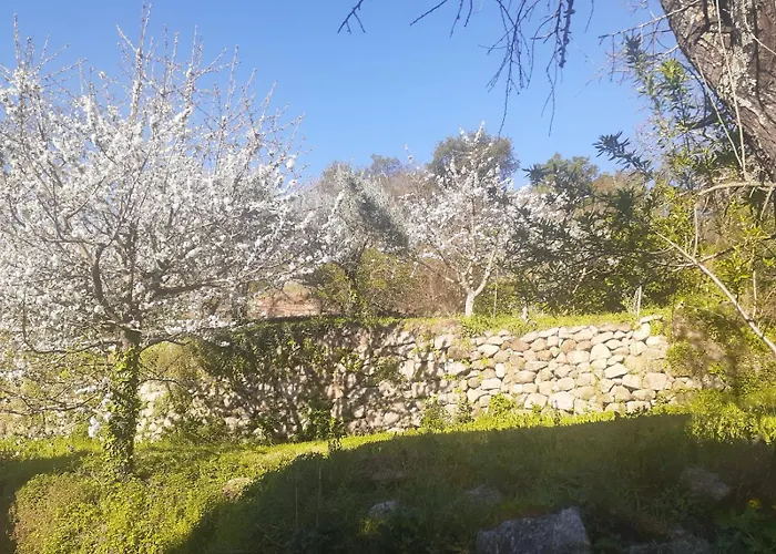 Quinta Dos Carvalhos The Wine House Farm In Center Of Lamego - Capital Of The Douro