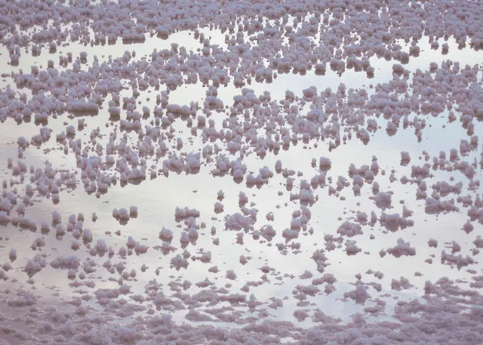 Moinhos Das Mares