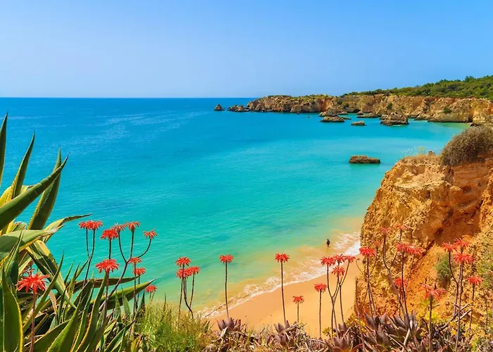 Amazing Carvoeiro Villa 4 Bedrooms Villa Jasmin Walking Distance Lagoa , Portugal