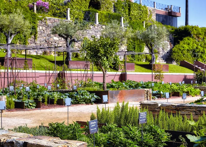 Six Senses Douro Valley Lamego, Portugal
