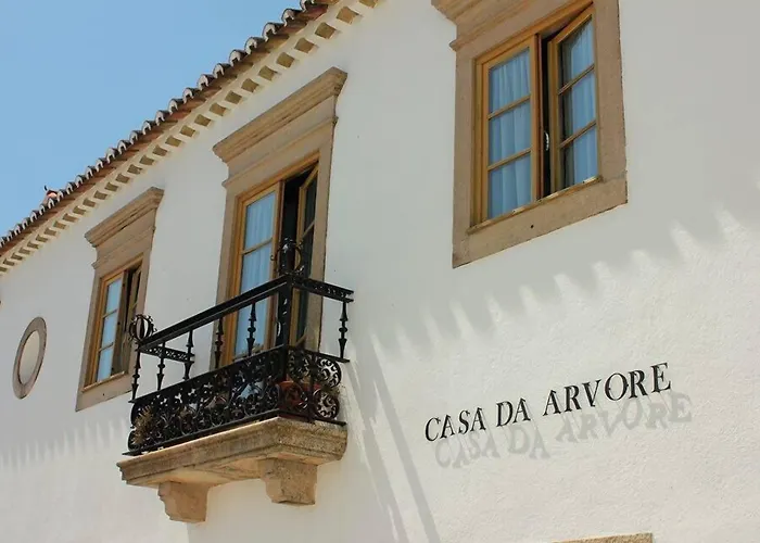 Casa Da Arvore