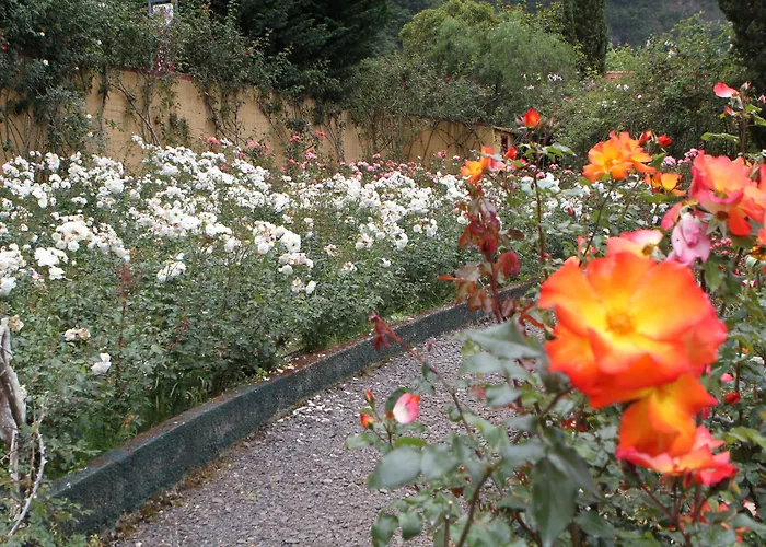 Pestana Quinta do Arco Nature&Rose Garden Hotel Arco de São Jorge, Portugal