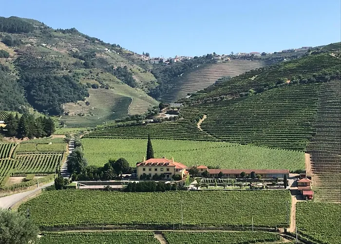 Solar Quinta Da Portela - Douro