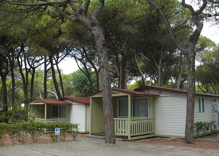 Parque De Campismo Orbitur Costa De Caparica Hotel, Portugal