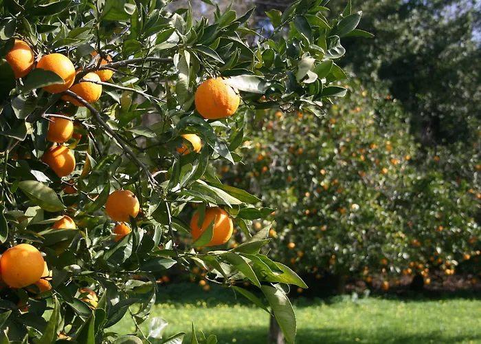 Herdade Da Serrinha Agroturismo Vila Montemor-o-Novo, Portugal
