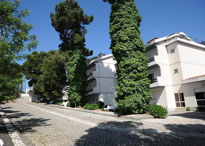 Colmeia
