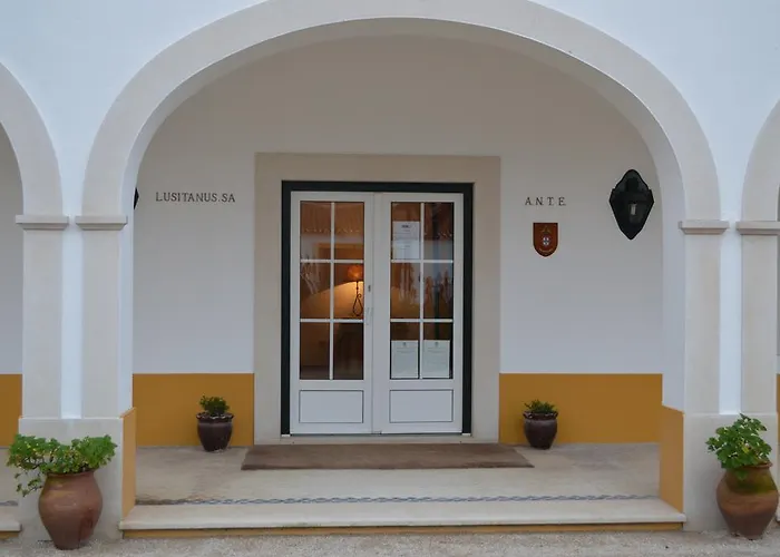 Lusitanus Vila Golegã, Portugal