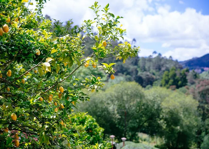 Quinta do Rio Gerês Vila Bouro, Portugal