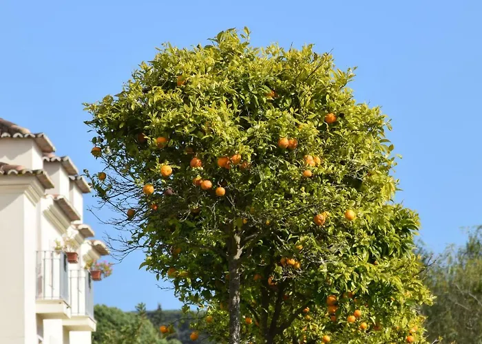 Quinta De Catralvos