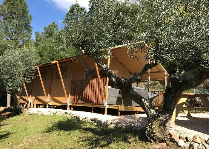 Quinta Da Cotovia